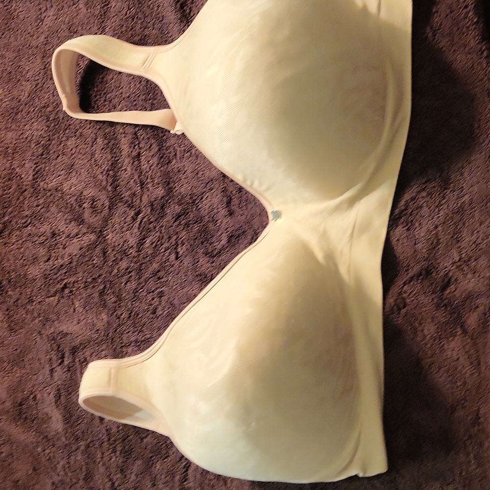 42 DD Breezies wirefree bra